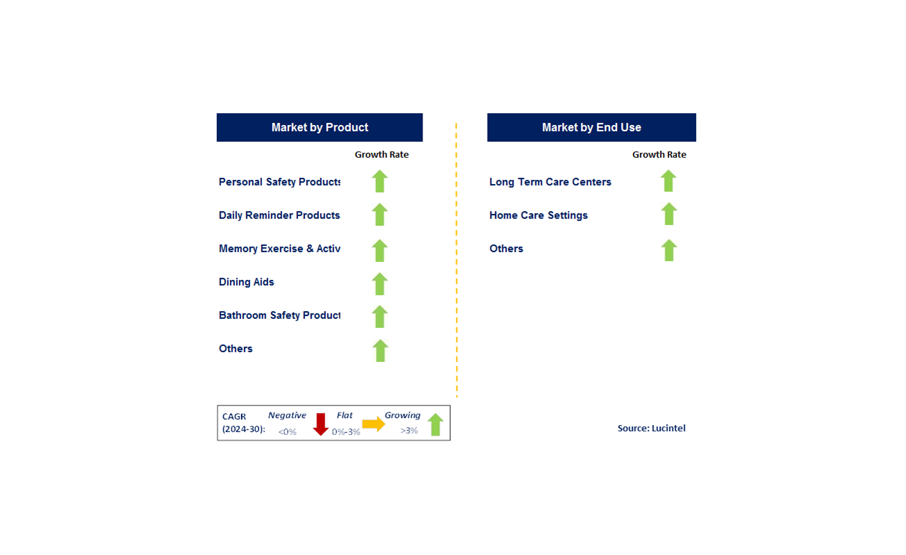 Dementia Care Product by Segment