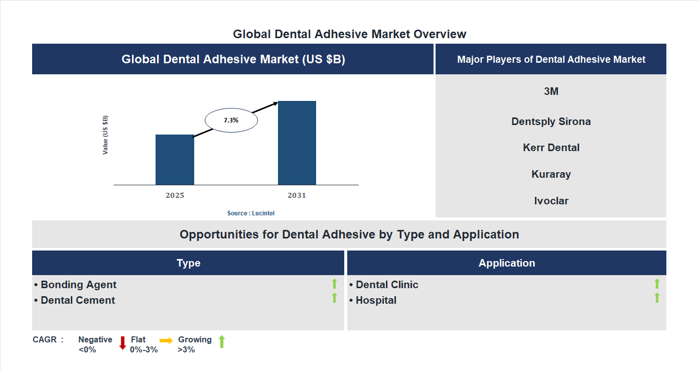 Dental Adhesive Market Trends and Forecast