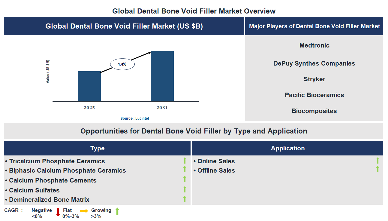 Dental Bone Void Filler Market Trends and Forecast