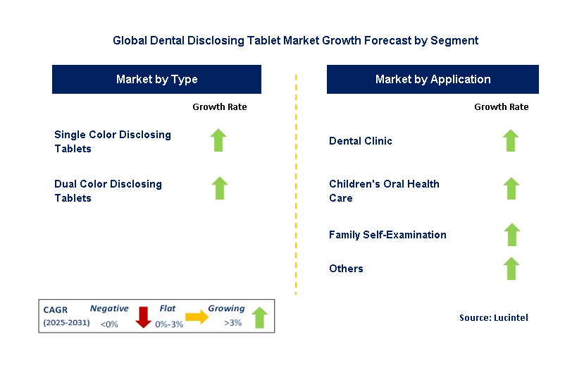 Dental Disclosing Tablet Market by Segment