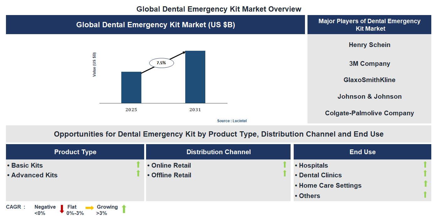 Dental Emergency Kit Market Trends and Forecast