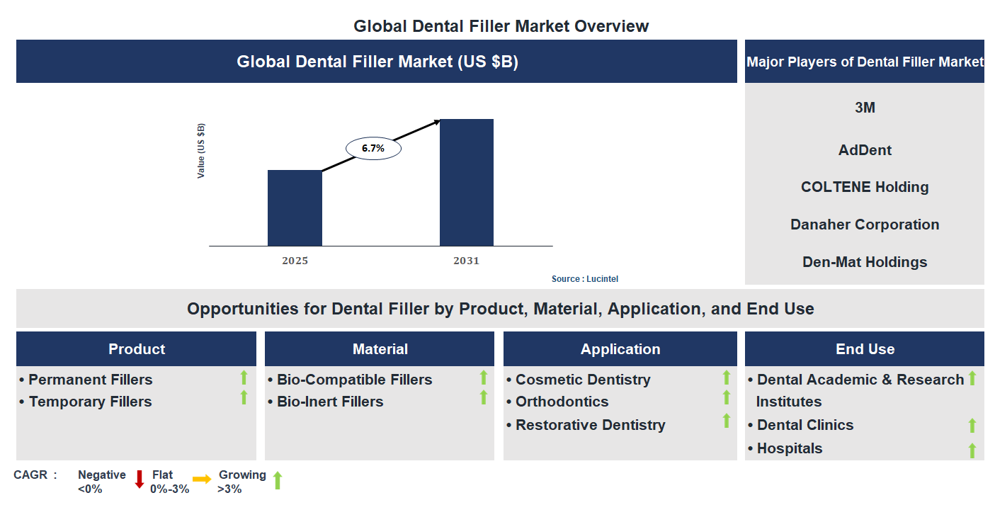 Dental Filler Market Trends and Forecast