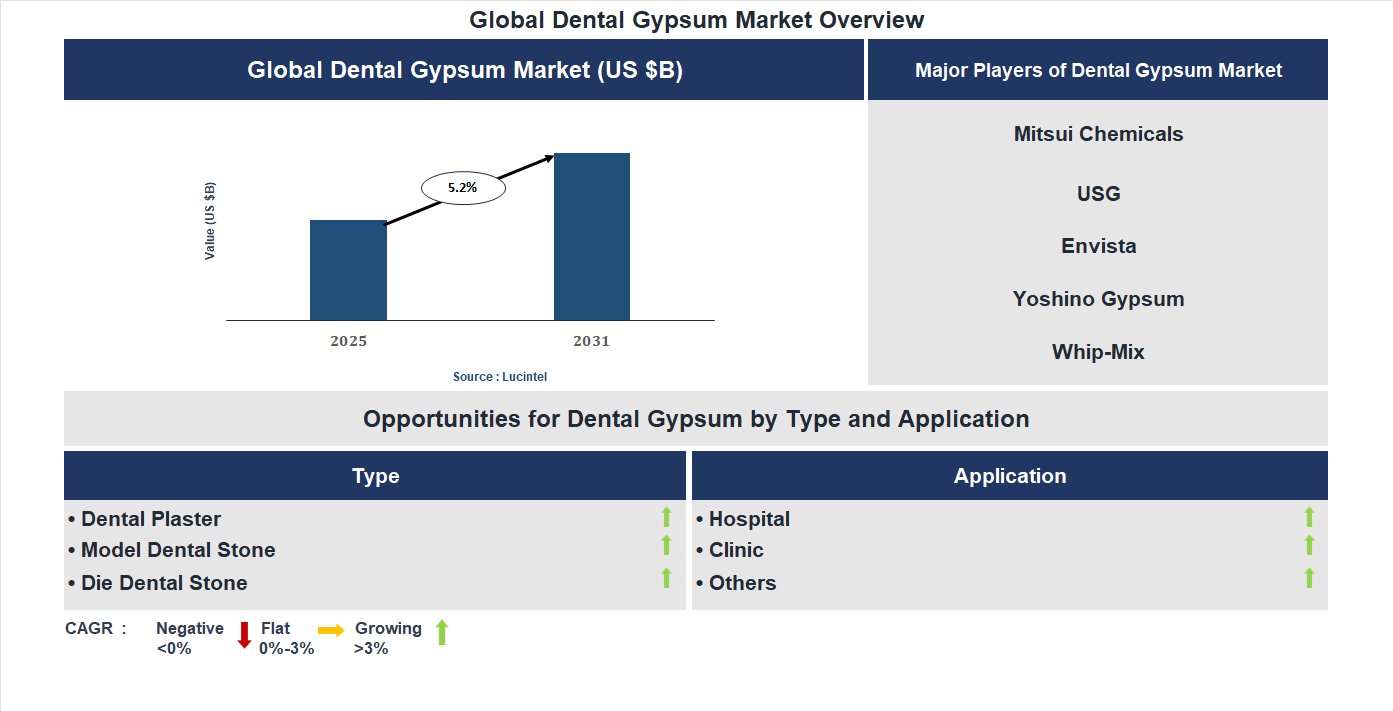Dental Gypsum Market Trends and Forecast