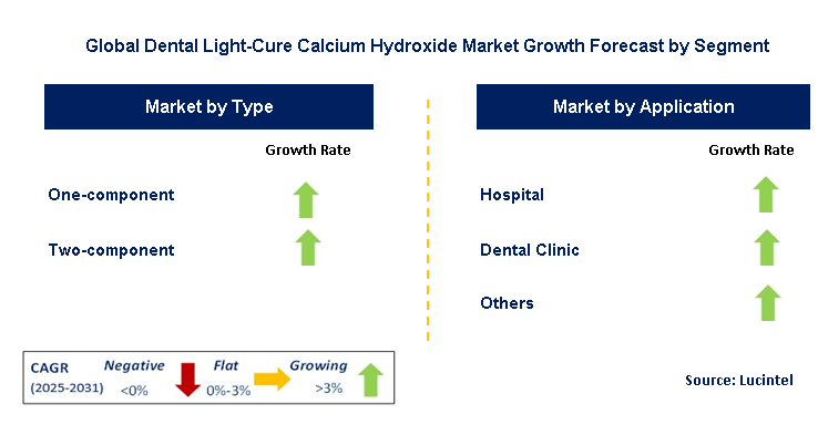Dental Light-Cure Calcium Hydroxide Market by Segment