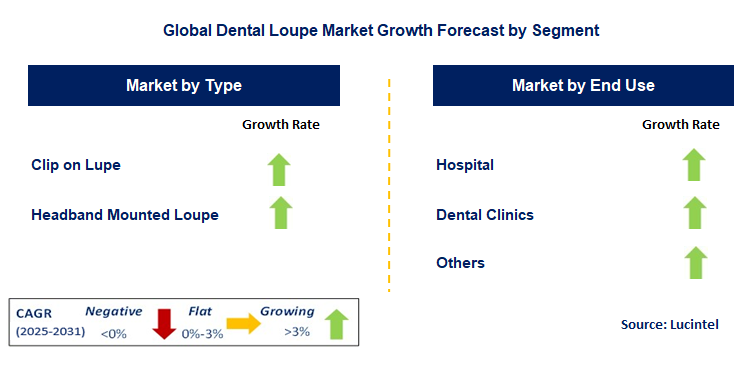 Dental Loupe Market by Segment