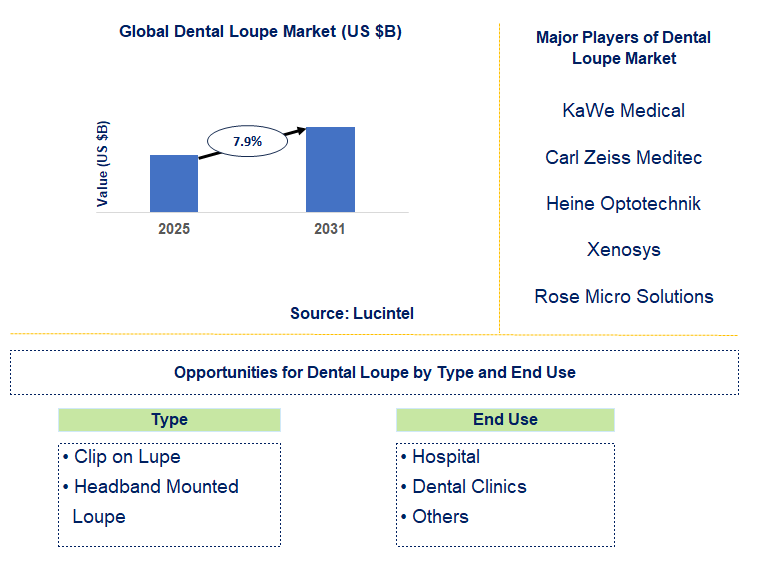Dental Loupe Market Trends and Forecast