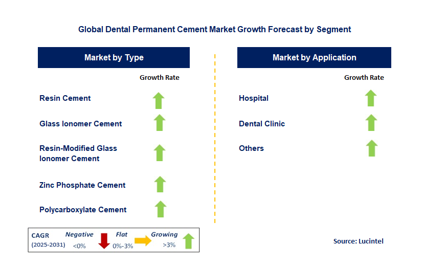 Dental Permanent Cement Market by Segment