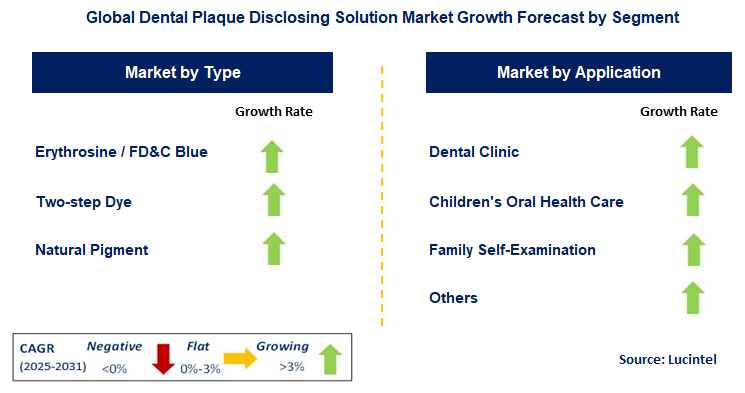 Dental Plaque Disclosing Solution Market by Segment