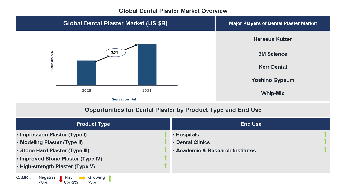 Dental Plaster Market Trends and Forecast