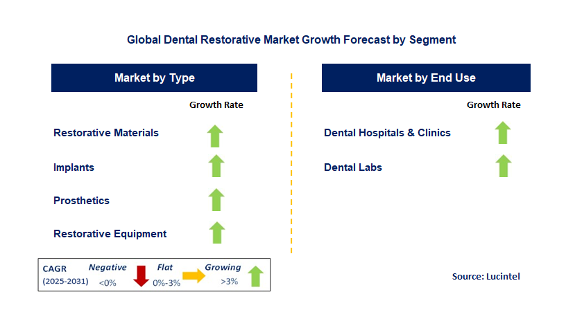 Dental Restorative Market by Segment