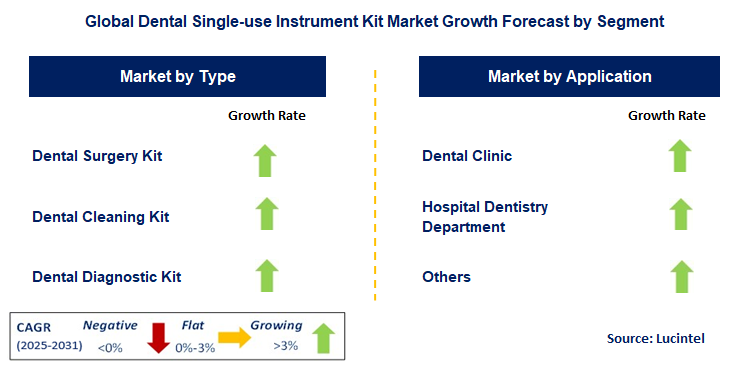Dental Single-use Instrument Kit Market by Segment