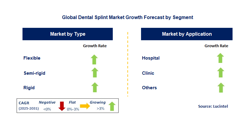 Dental Splint Market by Segment