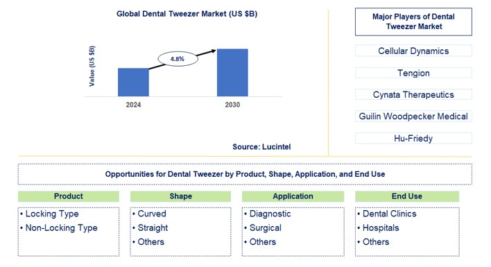 Dental Tweezer Trends and Forecast