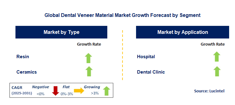 Dental Veneer Material Market by Segment