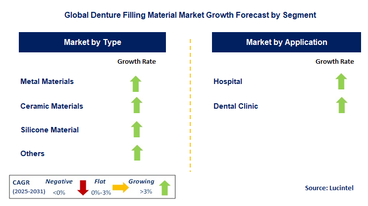 Denture Filling Material Market by Segment