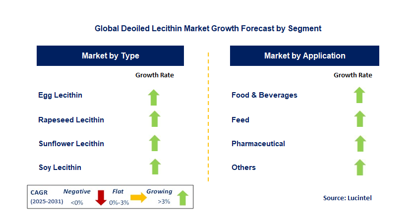 Deoiled Lecithin Market by Segment