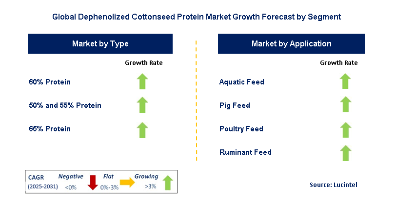 Dephenolized Cottonseed Protein Market by Segment