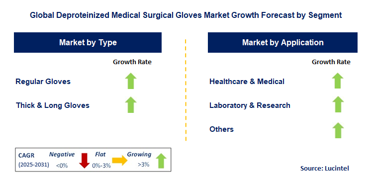 Deproteinized Medical Surgical Gloves Market by Segment