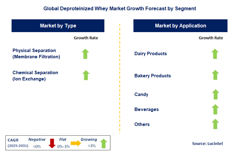 Deproteinized Whey Market by Segment