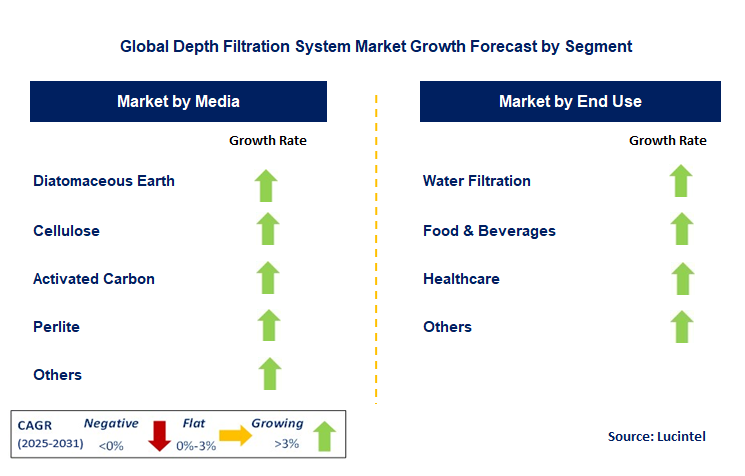 Depth Filtration System Market by Segment