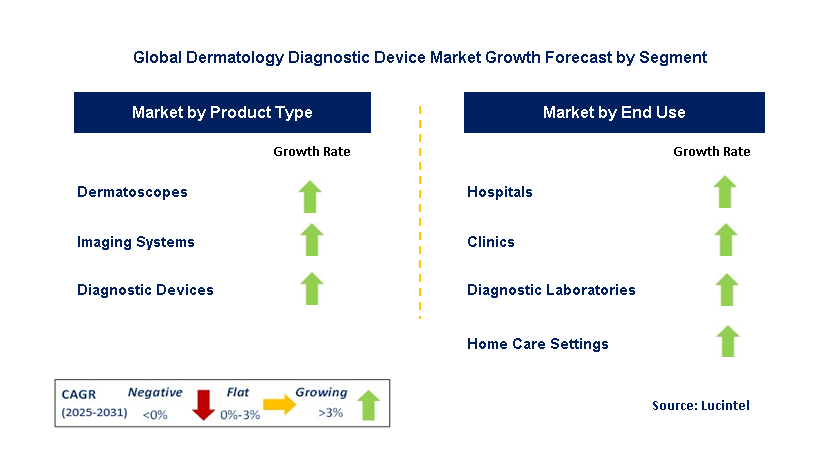 Dermatology Diagnostic Device Market by Segment