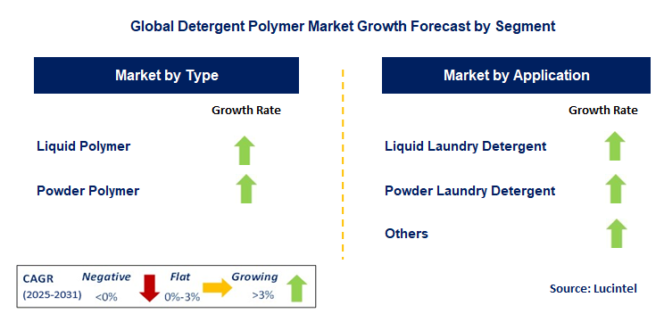 Detergent Polymer Market by Segment