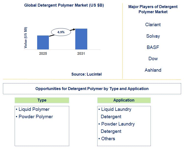 Detergent Polymer Market Trends and Forecast