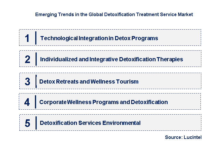 Emerging Trends in the Detoxification Treatment Service Market