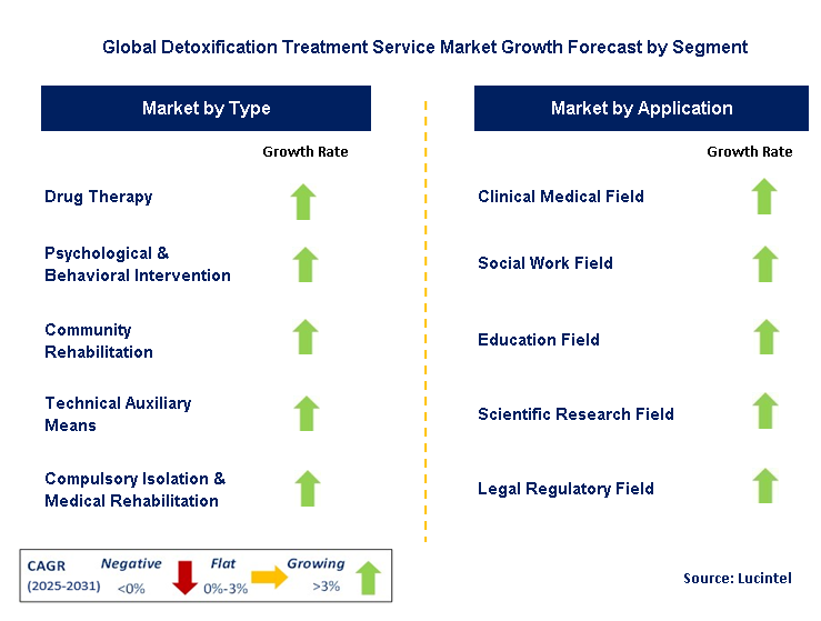 Detoxification Treatment Service Market by Segment
