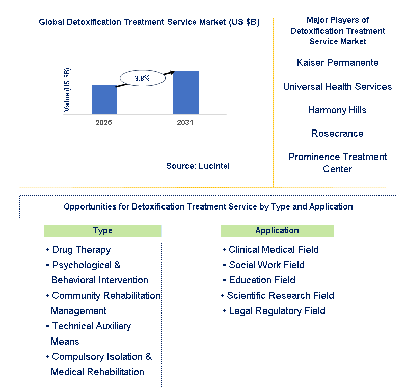 Detoxification Treatment Service Market Trends and Forecast