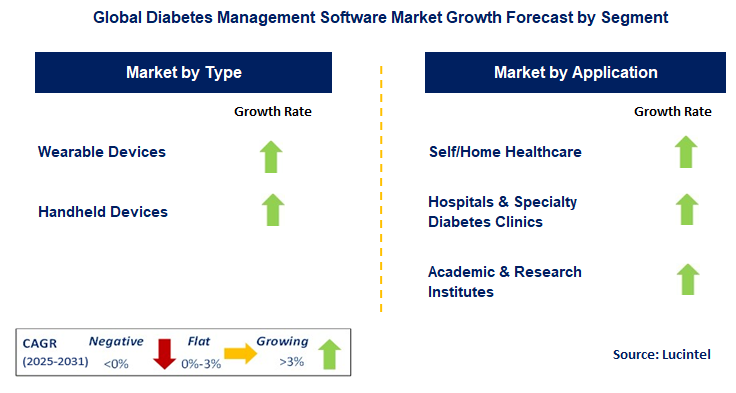 Diabetes Management Software Market by Segment