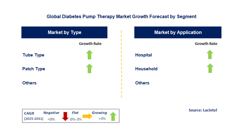 Diabetes Pump Therapy Market by Segment