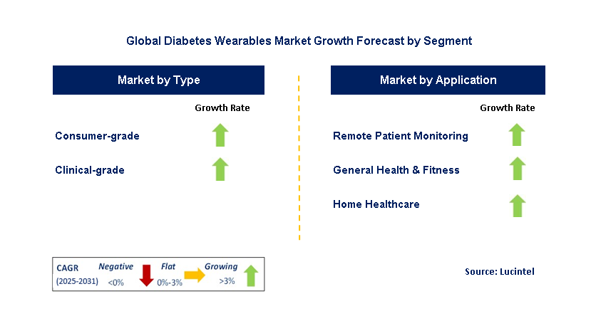 Diabetes Wearables Market by Segment