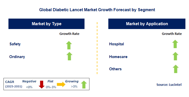 Diabetic Lancet Market by Segment