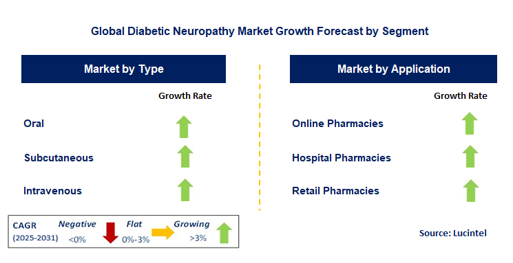 Diabetic Neuropathy Market by Segment
