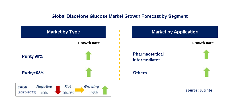 Diacetone Glucose Market by Segment