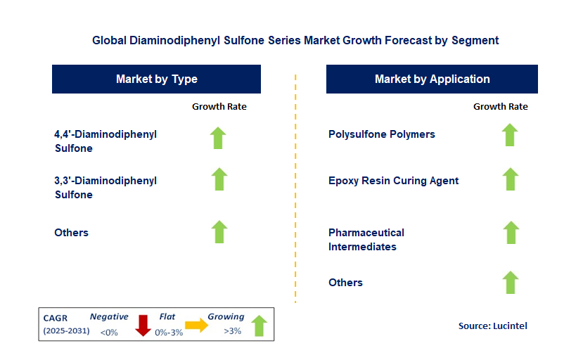 Diaminodiphenyl Sulfone Series Market by Segment