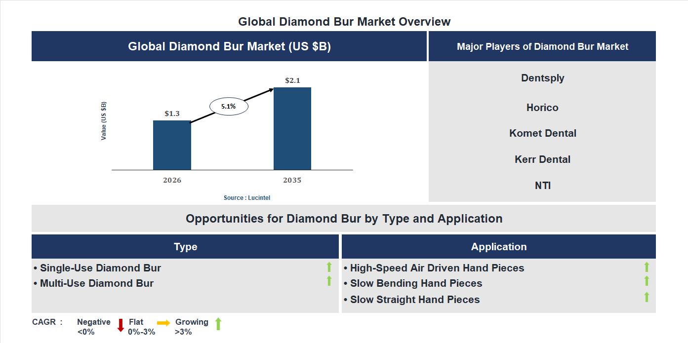 Diamond Bur Market Trends and Forecast