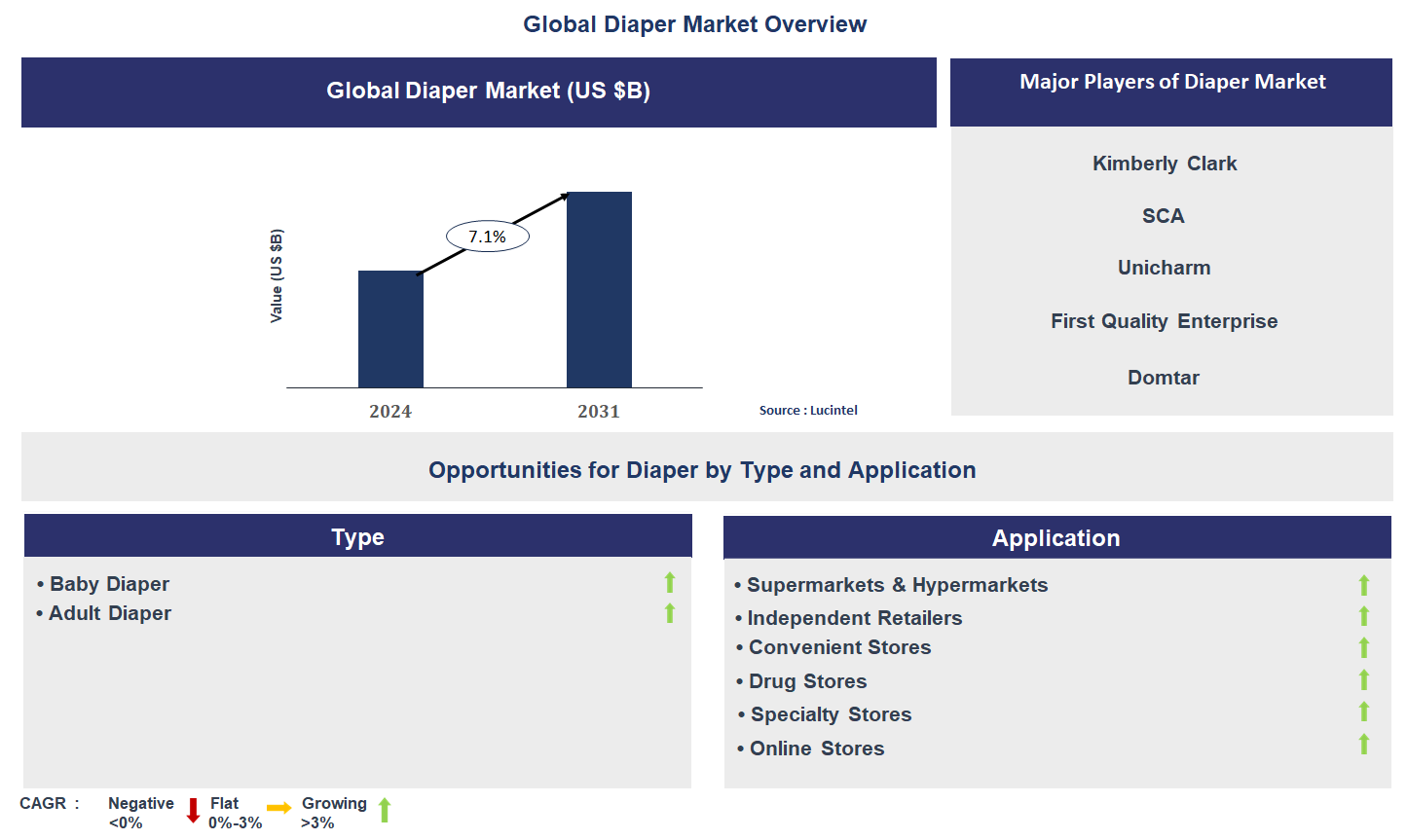 Diaper Market Trends and Forecast