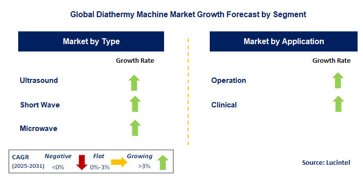 Diathermy Machine Market by Segment