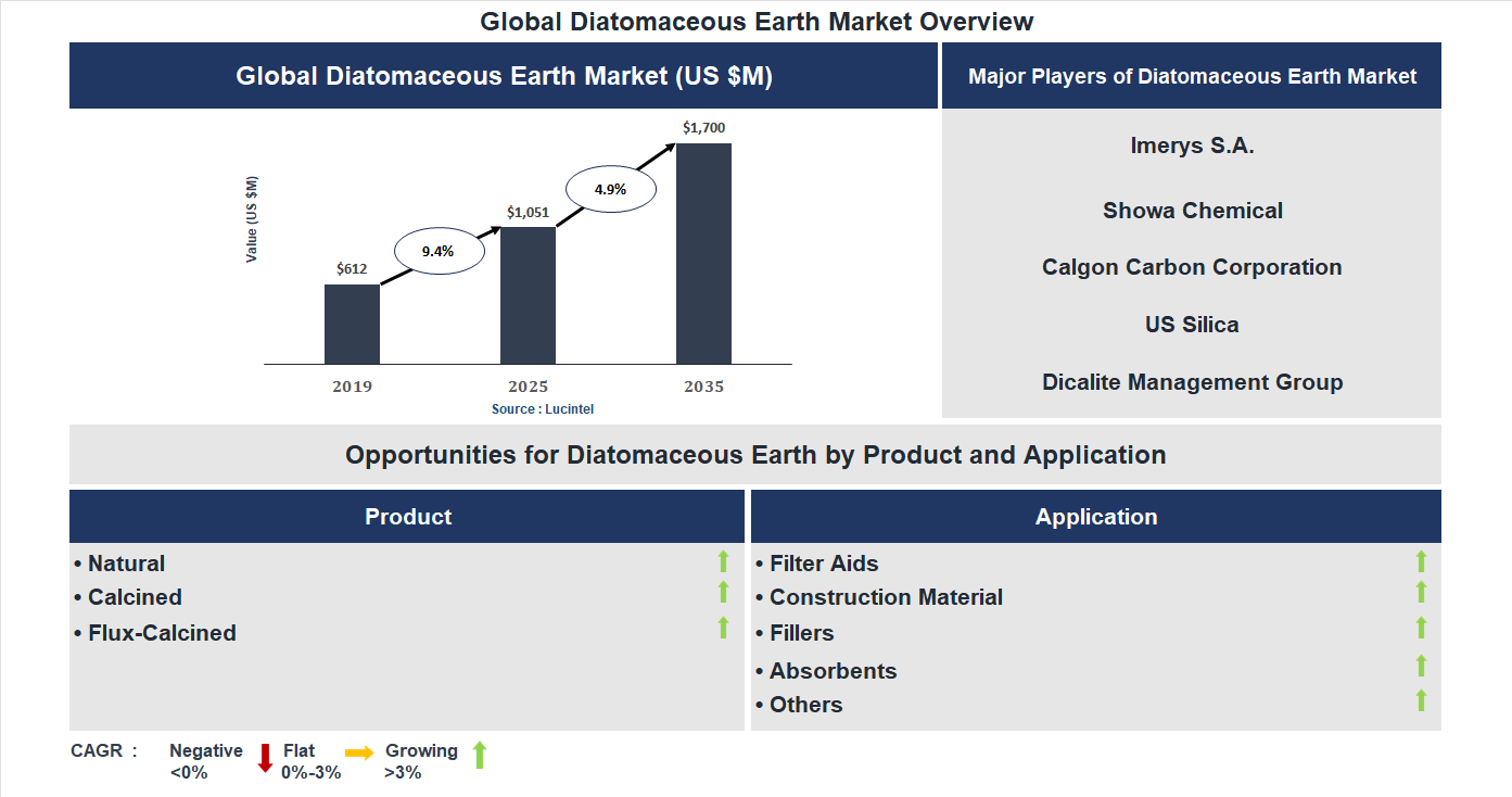 Diatomaceous Earth Market Trends and Forecast