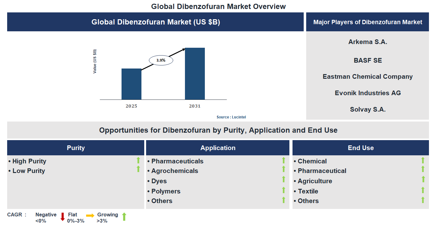 Dibenzofuran Market Trends and Forecast