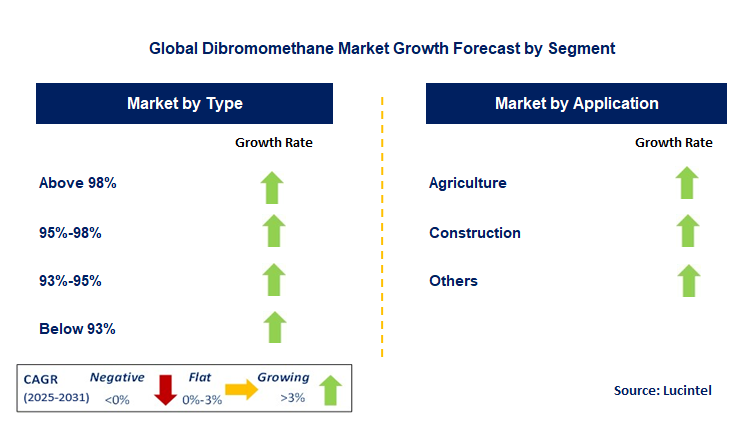 Dibromomethane Market by Segment