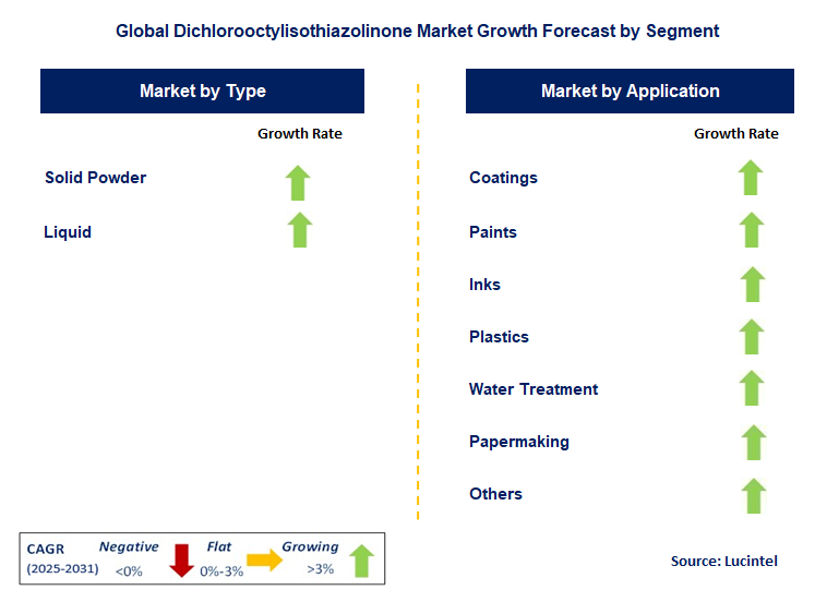 Dichlorooctylisothiazolinone Market by Segment
