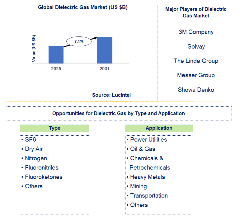 Dielectric Gas Market Trends and Forecast