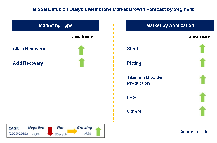 Diffusion Dialysis Membrane Market by Segment