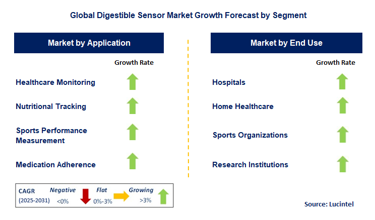 Digestible Sensor Market by Segment