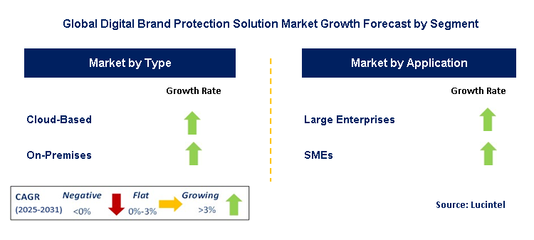 Digital Brand Protection Solution Market by Segment