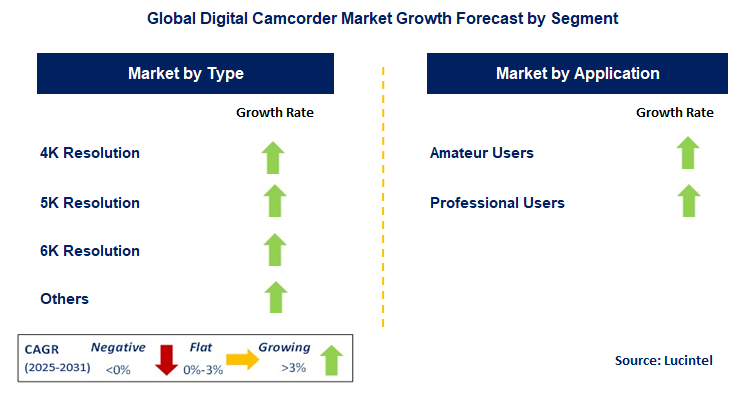 Digital Camcorder Market by Segment