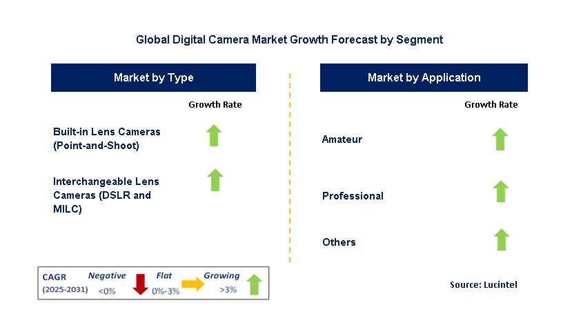 Digital Camera Market by Segment